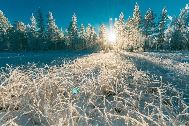 До −20 градусов похолодает в Ростовской области в ближайшие дни