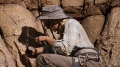 В Норвегии обнаружена могила с останками женщины и морскими раковинами около её рта