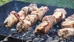 Россияне рассказали о выборе мяса для приготовления шашлыка на природе