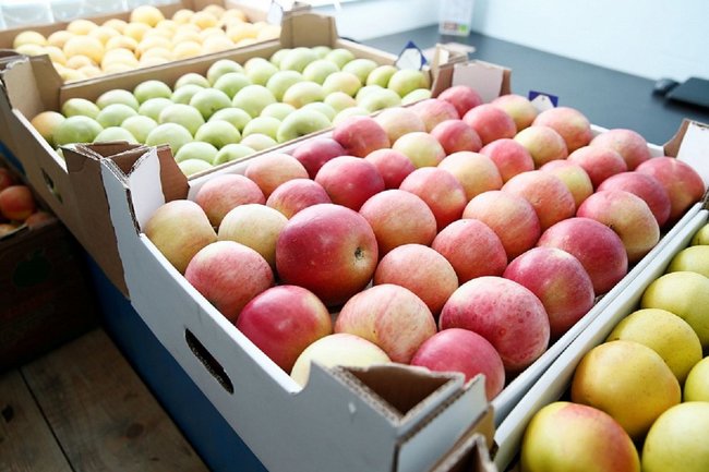 В Кабардино-Балкарии начало работать хранилище яблок