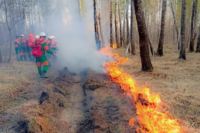 лесной пожар пожарный пожарные тушение огонь чс мчс