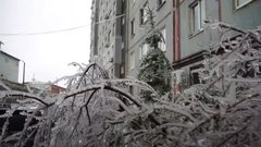 В Воронежской области на рабочей неделе ожидаются сильные перепады температуры