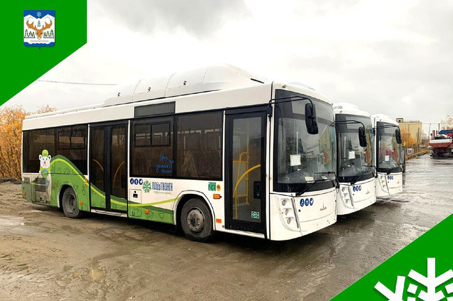 В Лабытнанги доставили 4 новых автобуса на газу