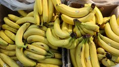 Росстандарт опроверг информацию о запрете на ввоз в Россию бананов меньшей длины, чем 14 см