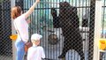 Посетители кормят медведя в зоопарке