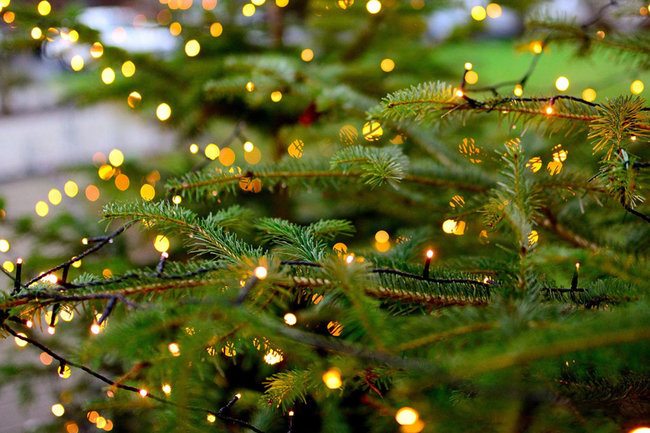 елка гирлянда