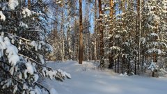 На Валааме найдена мертвой туристка из Екатеринбурга