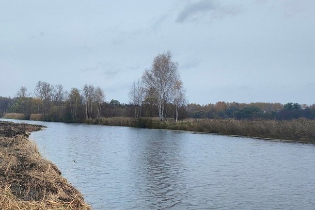 Губернатор Глеб Никитин: расчистка рек Имзы и Княгинки улучшит условия для 6,5 тысячи жителей региона