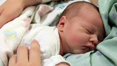 На Кубани благодаря процедуре ЭКО с начала года родился 361 ребенок