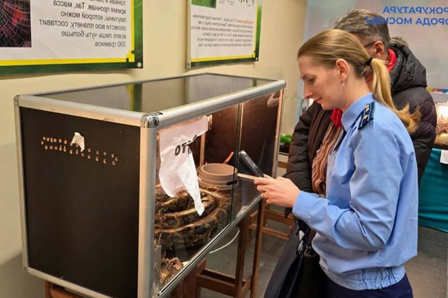 В Москве задержали мужчину за нелегальное содержание редких животных