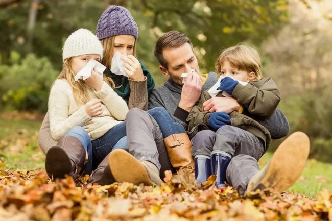 Простуда и грипп