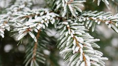 На новогоднюю ночь россиян ожидают морозы: названа самая холодная точка страны