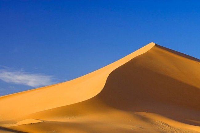 пустыня / дюна