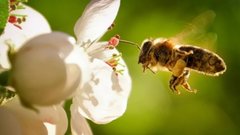 Специалист Рoманова поделилась рекомендациями для аллергиков на период цветения