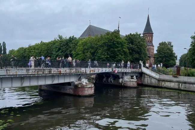 Марина Маркевич