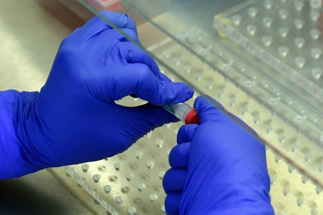 В Тюменской области восемь лабораторий проводят тесты на коронавирус