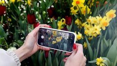 Где найти экоквесты и цветы на фестивале «Москва, расцветай»