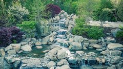 В парке «Краснодар» запустили самый большой водопад японского сада