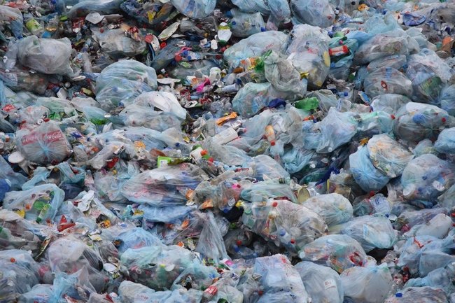 Более 300 вартовчан сдали мусор за деньги