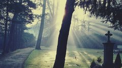 В Польше археологи сделали удивительное открытие: «кладбище вампиров»