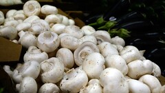 Как собрать рюкзак на однодневную прогулку в сентябре