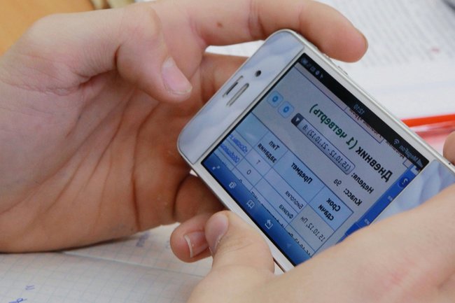 Электронный дневник