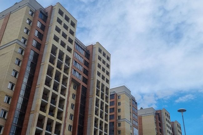 Фото: Алексей Коваленок / РБК Новосибирск