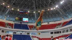 Российские спортсмены по прыжкам на батуте не примут участие в турнире в Португалии без флага