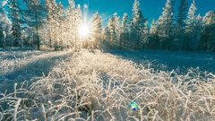 СКР изучает детали таинственного исчезновения туристической группы в Прикамье
