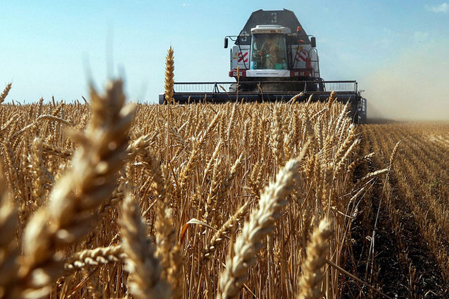 сельское хозяйство сбор урожая урожай фермер пшеница 