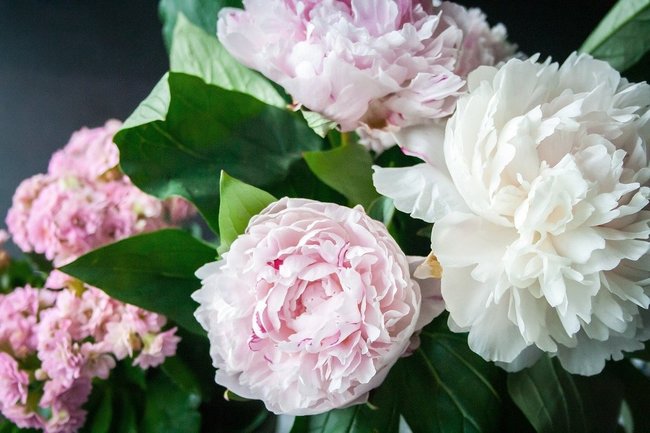 Жительница Сочи отдала 400 тысяч дарившему цветы брачному аферисту