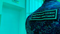 Житель Коми прятал от приставов иномарку за 2,5 миллиона рублей и получил срок