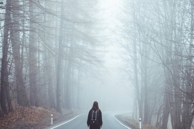 туман / осень