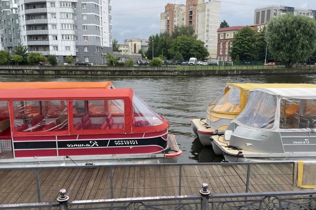 Марина Маркевич