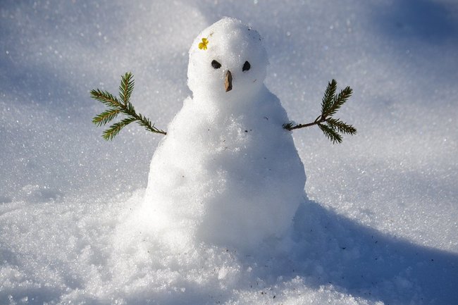 В Ханты-Мансийске лучшие работы с конкурса снеговиков сделали нетающими