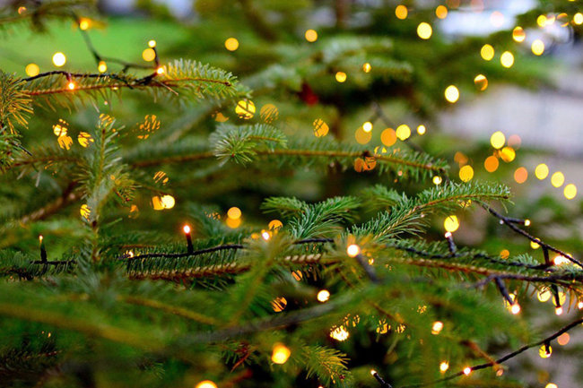 елка гирлянда