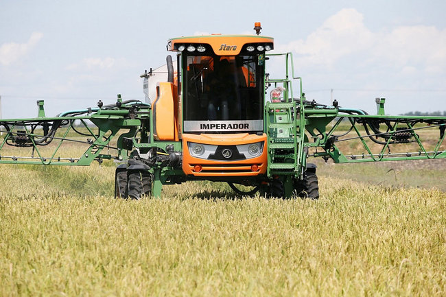 В Краснодарском крае урожайность зерновых и технических культур стала выше