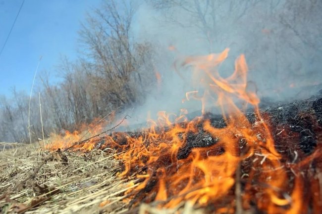 На Ямале определили муниципалитеты с повышенным риском возникновения природных пожаров