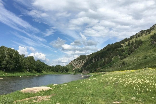 РБК Новосибирск