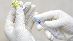 Baza: 300 домашних животных скончались после вакцинации «Мультиканом-8»