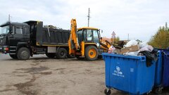 В России срочно взялись за ликвидацию свалок из-за нашествия медведей