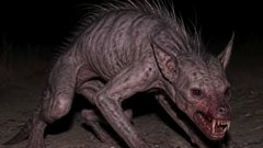 Странное существо, напоминающее чупакабру, вызвало страх у украинцев