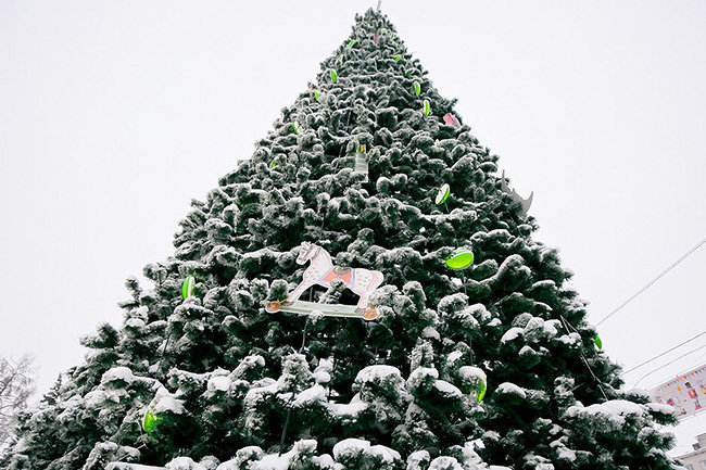 В Салехарде перенесут новогоднюю елку