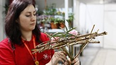 С 1 июля самозанятые в России смогут получать оплачиваемые больничные