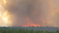 лесной пожар лес спасатели спасатель пожарный пожарные чс Югра ХМАО
