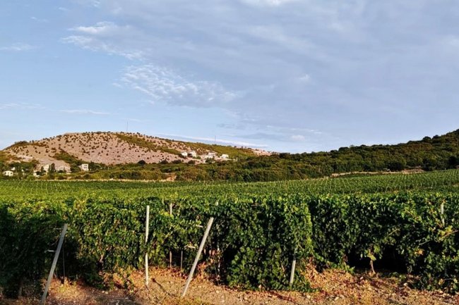 Бизнес и точка