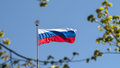 Россия флаг 