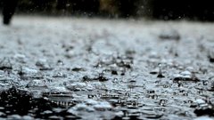 Москву ожидает дождливый июль с аномальными осадками