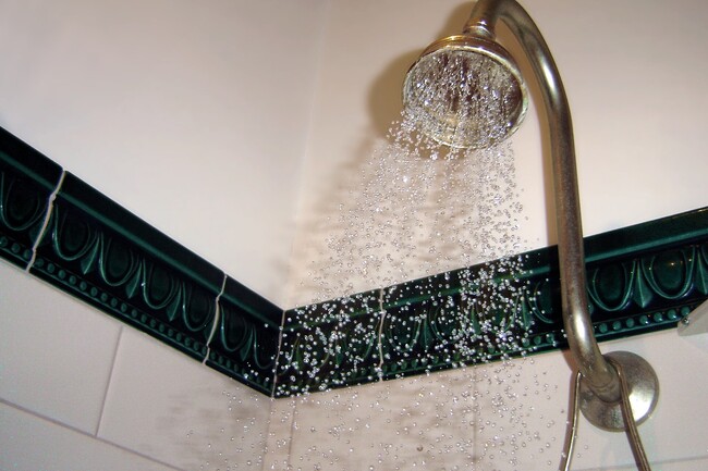Душевая лейка. Фото: . CC BY-SA 3.0: http://creativecommons.org/licenses/by-sa/3.0/. Источник: https://commons.wikimedia.org/wiki/File:Showerhead.JPG. Кадрирование миниатюр: Infox; производные фото распространяются на условиях указанной лицензии.
