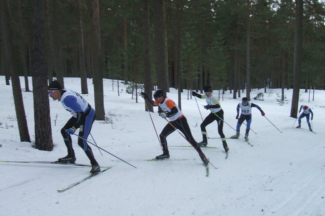 Около тысячи лыжников примут участие в мурманском лыжном марафоне   